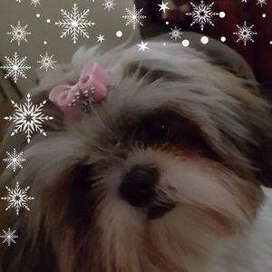 Meet your Posher, Rita mcmanus